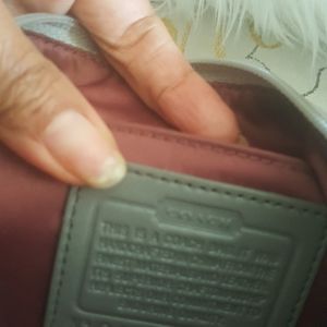 Louis Vuitton purse small Coach purse silver